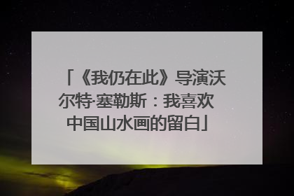 《我仍在此》导演沃尔特·塞勒斯：我喜欢中国山水画的留白