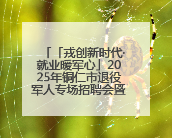「戎创新时代·就业暖军心」2025年铜仁市退役军人专场招聘会暨直播带岗活动顺利举行