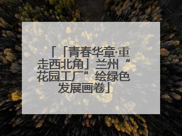 「青春华章·重走西北角」兰州“花园工厂”绘绿色发展画卷
