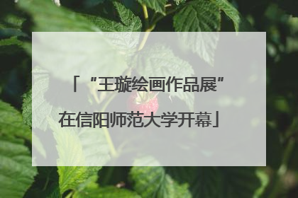 “王璇绘画作品展”在信阳师范大学开幕