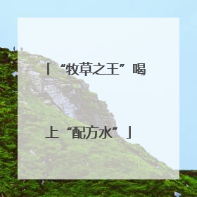 “牧草之王”喝上“配方水”