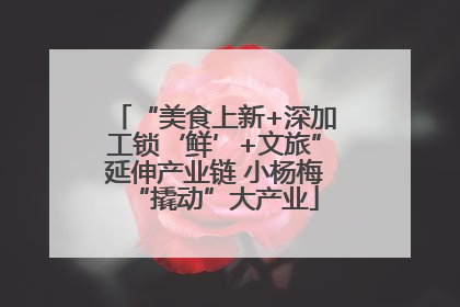 “美食上新+深加工锁‘鲜’+文旅”延伸产业链 小杨梅“撬动”大产业