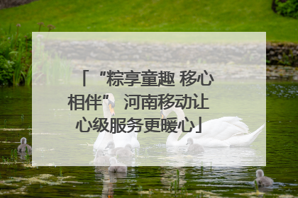 “粽享童趣 移心相伴” 河南移动让心级服务更暖心