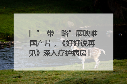 “一带一路”展映唯一国产片，《好好说再见》深入疗护病房