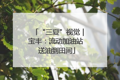 “三夏”视觉｜宝丰：流动加油站 送油到田间