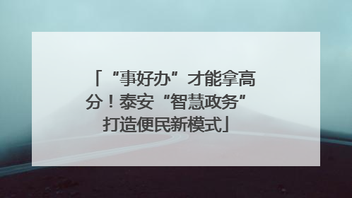 “事好办”才能拿高分！泰安“智慧政务”打造便民新模式