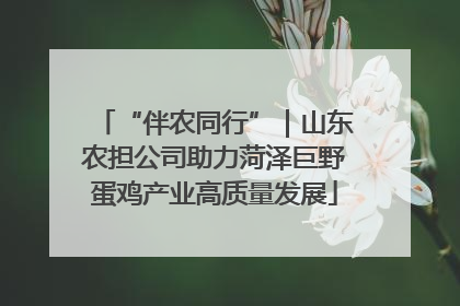 “伴农同行”｜山东农担公司助力菏泽巨野蛋鸡产业高质量发展