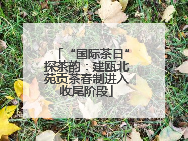 “国际茶日”探茶韵：建瓯北苑贡茶春制进入收尾阶段