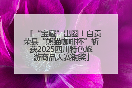 “宝藏”出圈！自贡荣县“熊猫咖啡杯”斩获2025四川特色旅游商品大赛铜奖