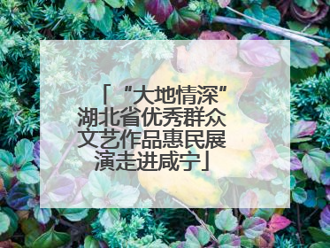 “大地情深”湖北省优秀群众文艺作品惠民展演走进咸宁