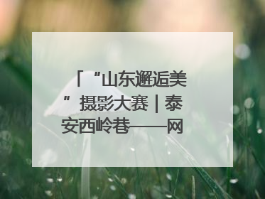 “山东邂逅美”摄影大赛｜泰安西岭巷——网红打卡新地标