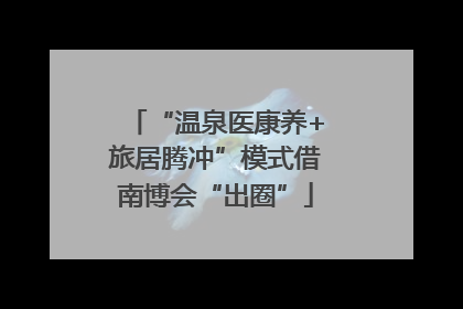 “温泉医康养+旅居腾冲”模式借南博会“出圈”