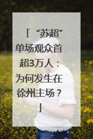 “苏超”单场观众首超3万人：为何发生在徐州主场？