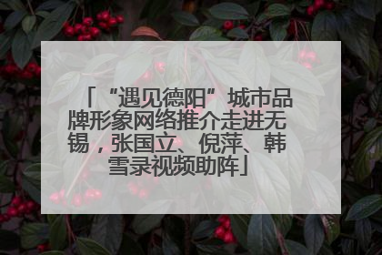 “遇见德阳”城市品牌形象网络推介走进无锡，张国立、倪萍、韩雪录视频助阵