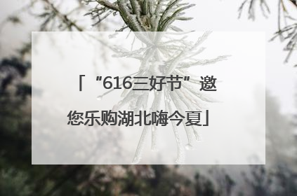 “616三好节”邀您乐购湖北嗨今夏
