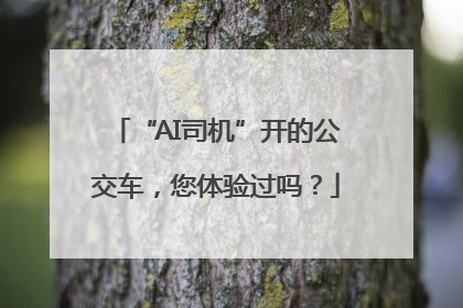 “AI司机”开的公交车，您体验过吗？