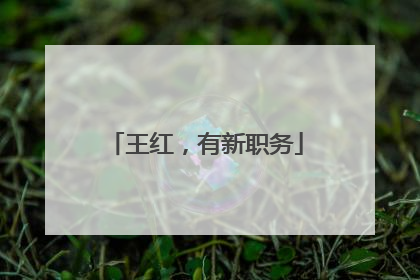 王红，有新职务