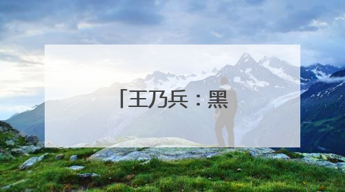 王乃兵：黑土地上“种”出红火日子