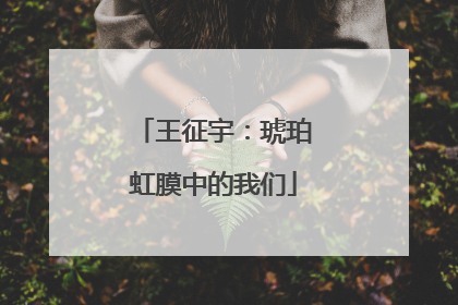 王征宇：琥珀虹膜中的我们
