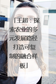 王超：探索农业的多元发展路径 打造可复制的融合样板