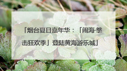 烟台夏日嘉年华：「闹海·拳击狂欢季」登陆黄海游乐城