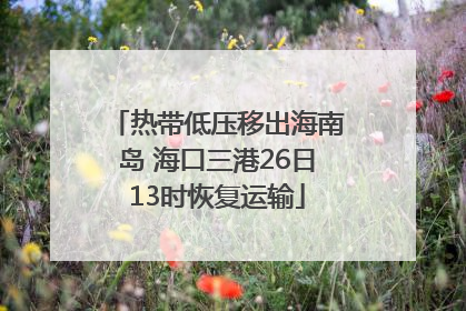 热带低压移出海南岛 海口三港26日13时恢复运输