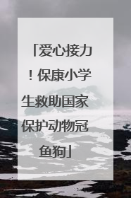 爱心接力！保康小学生救助国家保护动物冠鱼狗