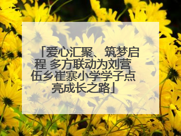 爱心汇聚、筑梦启程 多方联动为刘营伍乡崔寨小学学子点亮成长之路