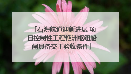 石澧航道迎新进展 项目控制性工程艳洲枢纽船闸具备交工验收条件