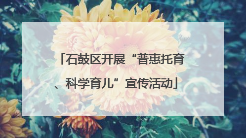 石鼓区开展“普惠托育、科学育儿”宣传活动