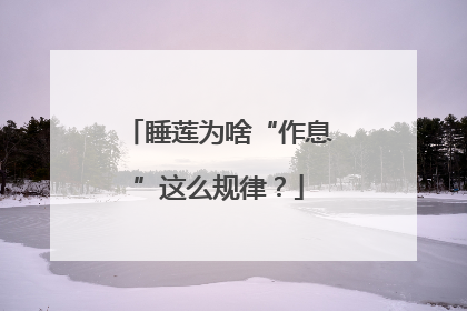 睡莲为啥“作息”这么规律？
