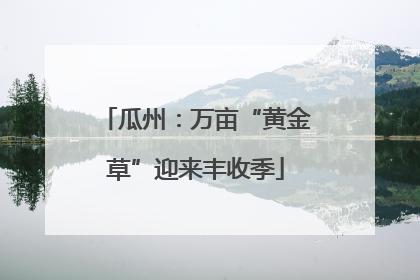 瓜州：万亩“黄金草”迎来丰收季