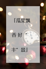 瓜果飘香 好“丰”景