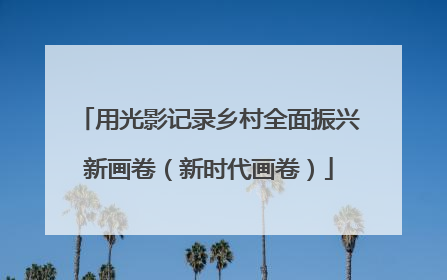用光影记录乡村全面振兴新画卷（新时代画卷）