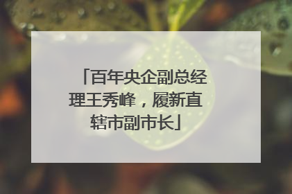 百年央企副总经理王秀峰，履新直辖市副市长