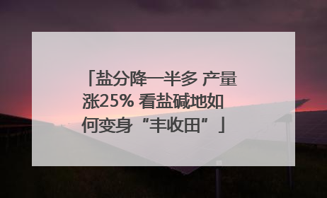 盐分降一半多 产量涨25% 看盐碱地如何变身“丰收田”