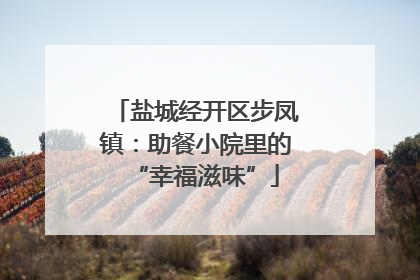 盐城经开区步凤镇：助餐小院里的“幸福滋味”