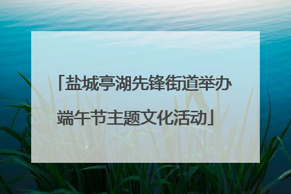 盐城亭湖先锋街道举办端午节主题文化活动