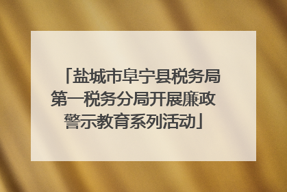 盐城市阜宁县税务局第一税务分局开展廉政警示教育系列活动