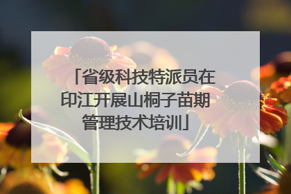 省级科技特派员在印江开展山桐子苗期管理技术培训