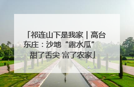 祁连山下是我家｜高台东庄：沙地“露水瓜” 甜了舌尖 富了农家