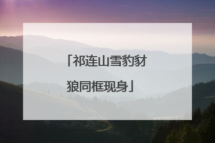 祁连山雪豹豺狼同框现身