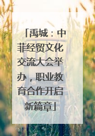 禹城：中菲经贸文化交流大会举办，职业教育合作开启新篇章