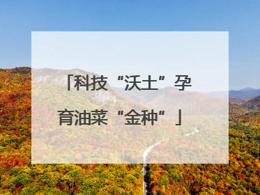 科技“沃土”孕育油菜“金种”