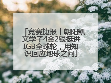竞赛捷报丨朝阳凯文学子4金2银挺进IGB全球轮，用知识回应地球之问