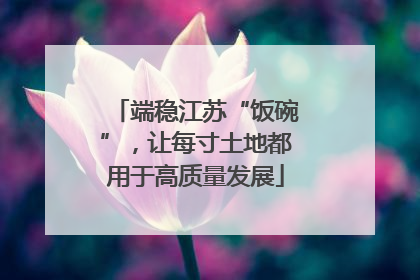 端稳江苏“饭碗”，让每寸土地都用于高质量发展