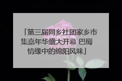 第三届同乡社团家乡市集嘉年华盛大开幕 巴蜀情缘中的绵阳风味