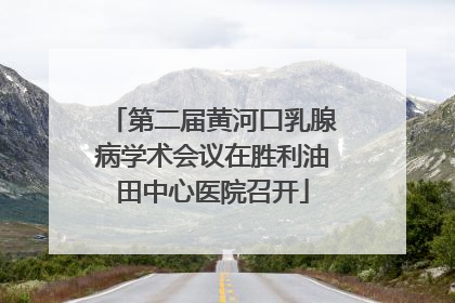 第二届黄河口乳腺病学术会议在胜利油田中心医院召开