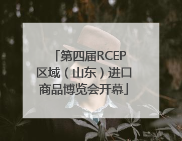 第四届RCEP区域（山东）进口商品博览会开幕
