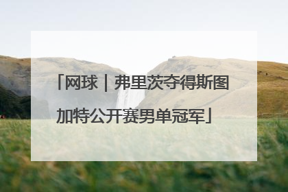 网球｜弗里茨夺得斯图加特公开赛男单冠军